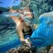 Подводный мир мальдивских островов Интересные сведения о стране